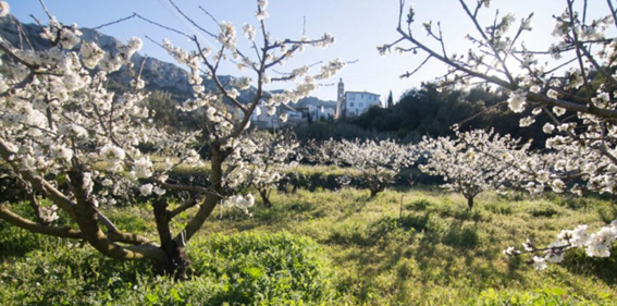 Agrivall — frutos de temporada