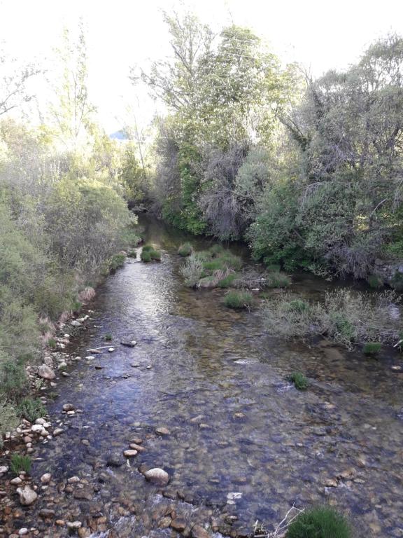 Vistas al río
