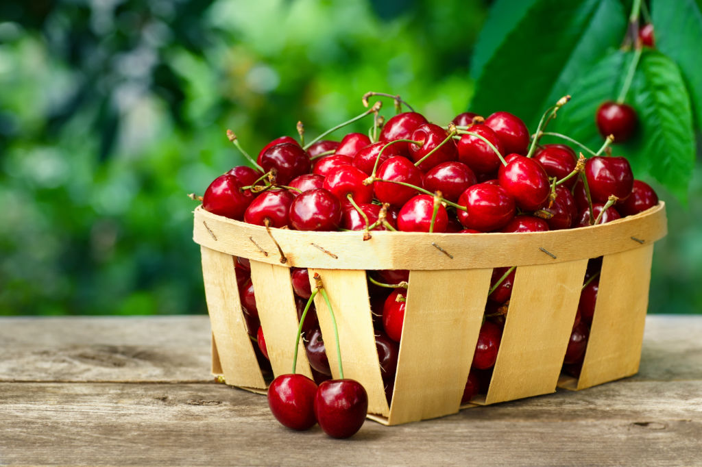 Cerezas